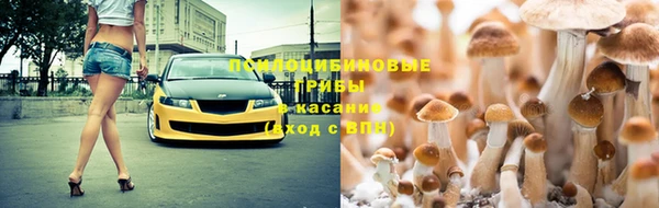 гидропоника Новокубанск