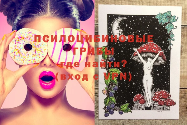 мдпв Новозыбков