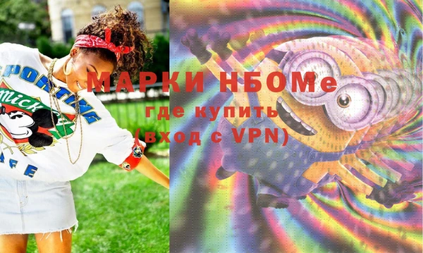 мдпв Новозыбков