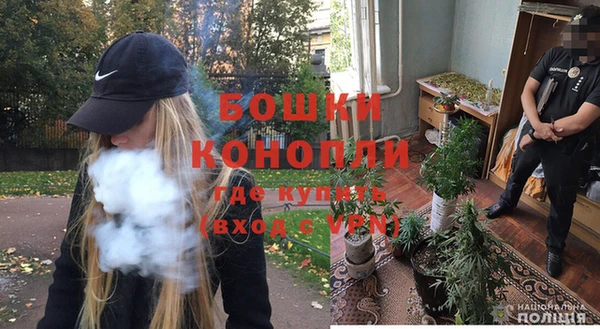 мдпв Новозыбков