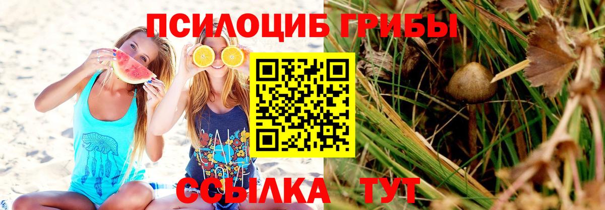 Галлюциногенные грибы Cubensis Батайск