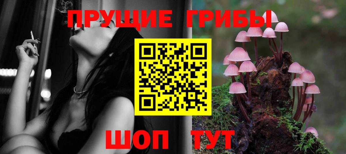Батайск  Псилоцибиновые грибы Cubensis  Вход с VPN 